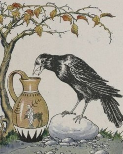 Clever crow