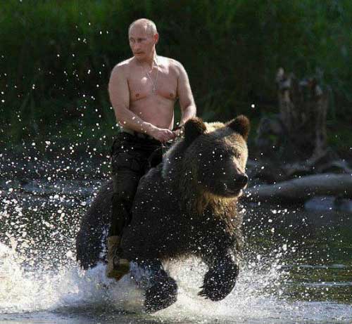 vladimir-putin-riding-bear